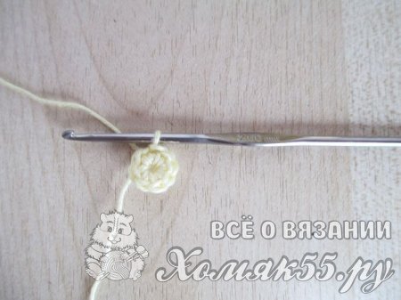Пинетки с ромашками крючком