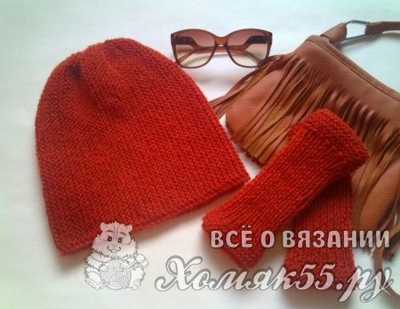 Шапка и митенки спицами